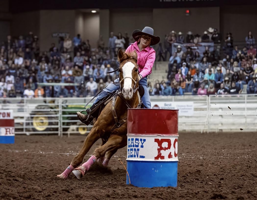 Adjustable Sports Medicine Horse Leg Boots Breathable Neoprene Equine Guards Insect-Repellent Wraps Reduced Fatigue Equestrian Gear - Bule